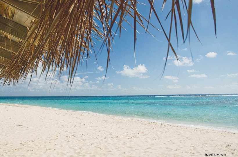 7 lugares para nadar en el Caribe y México que probablemente nunca conociste 